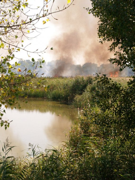 У Нехворощі загорівся центр села