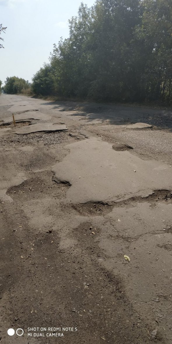 Мешканці Карлівщини вимагають відремонтувати єдину дорогу з сіл до райцентру