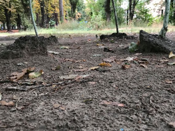 Мешканці будинку Київське шосе, 48, хочуть демонтувати старий дитячий майданчик