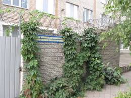 Фігурантка резонансної ДТП в Харкові Олена Зайцева знаходиться      в Покровському виправному центрі №79. Новий сектор  для вперше засуджених жінок  відкрили у 2009 році