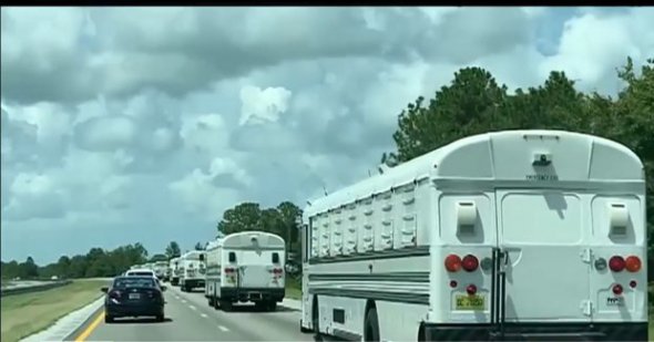 Массовая эвакуация во Флориде
