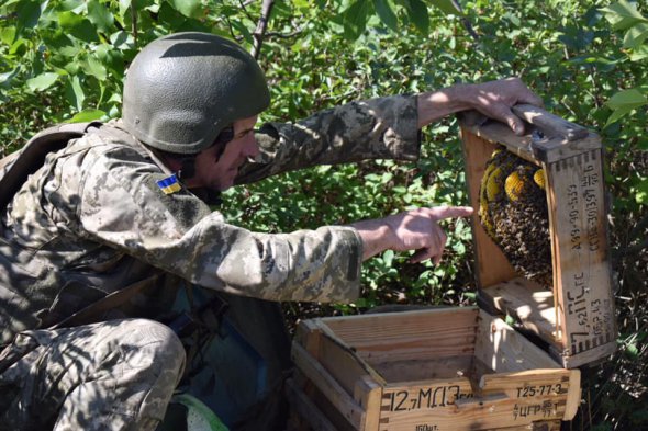 Боец 53-й бригады ВСУ показывает самодельный улей для пчел на одной из передовых позиций