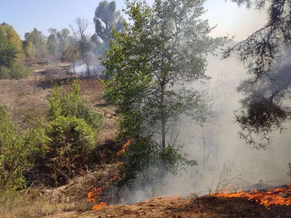 В Новосанжарском районе спасатели неделю тушили пожар
