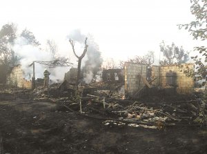 Пожежники майже дев’ять годин гасили вогонь у селі Любимівка Вишгородського району на Київщині