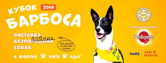 6 жовтня на "ВДНГ" пройде Кубок Барбоса - наймасштабніша виставка-конкурс безпородних собак в Україні