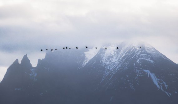 Фотограф показала неповторимую красоту природы Исландии