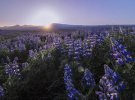 Фотограф показала неповторимую красоту природы Исландии
