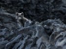 Фотограф показала неповторимую красоту природы Исландии
