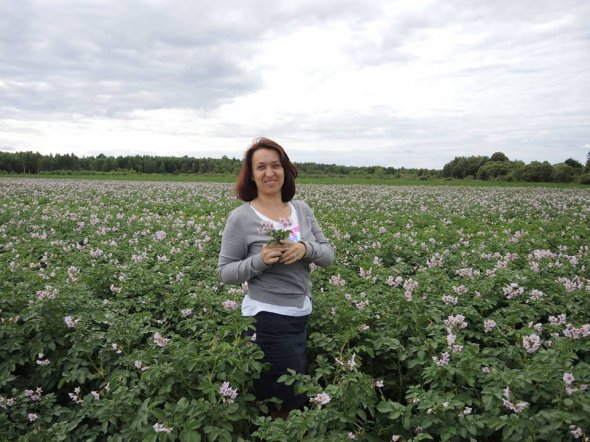 Виконавчий директор Української асоціації виробників картоплі Оксана Руженкова: "Україні вистачає власної продукції. Ми займаємо 2-3 місце у світі по виробництву картоплі - 22 мільйони тонн. Внутрішня потреба становить 6 мільйонів тонн".
