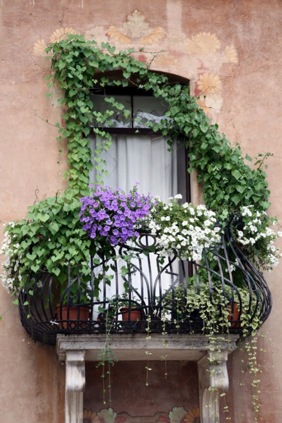Благодаря растениям балкон превратится в уютный оазис.