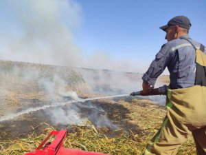 Рятувальник гасить пожежу на болоті між селами Пологий Низ і Руденківка Новосанжарського району. Вигоріло 350 тисяч квадратних метрів очерету