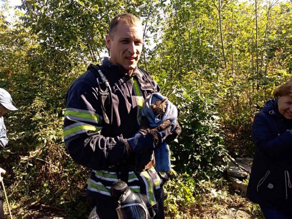 У Карлівці з каналізації працівник ДСНС Олексій Савченко врятував кошеня