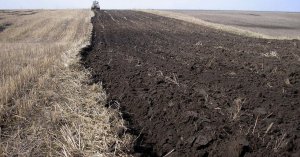 Президента просять  відтермінувати введення ринку землі в Україні. Фото: Telegraf 