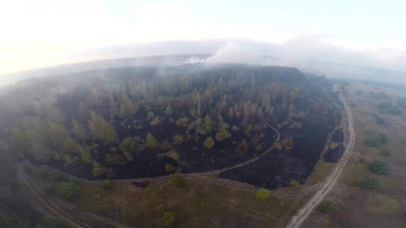 Лісова пожежа у Новосанжарському районі Полтавщини, яку гасили з літаків