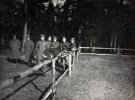По Галичине дрессировали собак