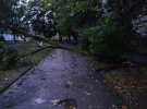 Наслідки буревію в Львівській області показали в соцмережах