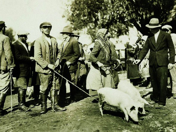 Луїза Бойд 26 вересня 1934-го заїхала до Золочева – тепер райцентр на Львівщині. Фотографувала тамтешній ринок,  де торгували поросятами, кіньми, козами, телятами, вівцями, гусаками. На світлинах зафіксувала продавців із кошиками, чобітьми, глечиками та пряжею