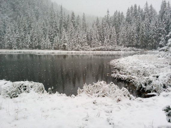 В горах Карпат осенью выпал снег