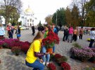 У Полтаві на фестивалі хризантем клумбу в парку засадили квітами містян