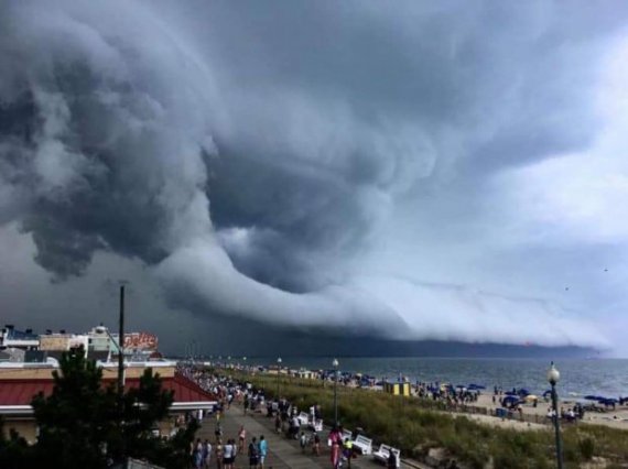 Показали последствия тайфуна Хагибис в Японии. Фото: соцсети