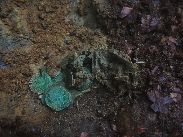 В лесу нашли около 1 тыс. серебряных средневековых монет
