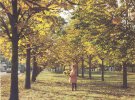"Золота" осінь у Полтаві. Фото 1985 рік.