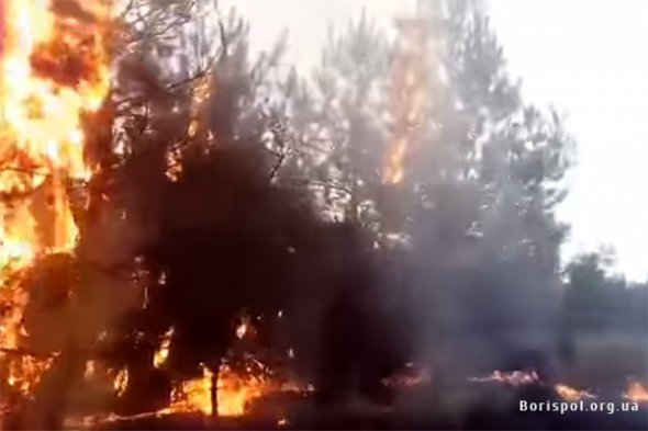 Недалеко от аэропорта Борисполь отдыхающие устроили масштабный пожар