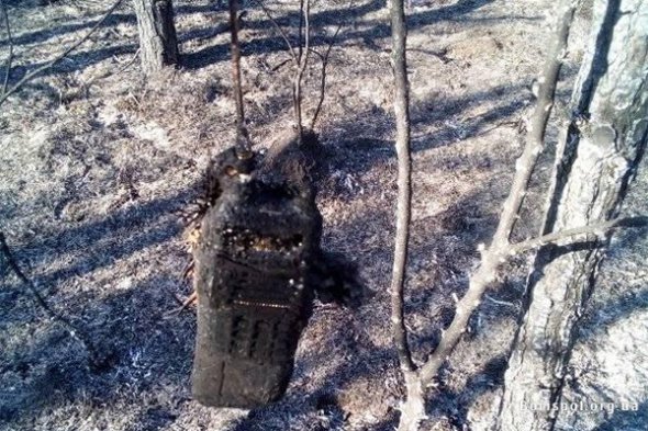 Огнем уничтожено около гектара деревьев и другой растительности