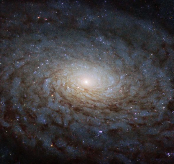 Спіральна галактика NGC 4380
