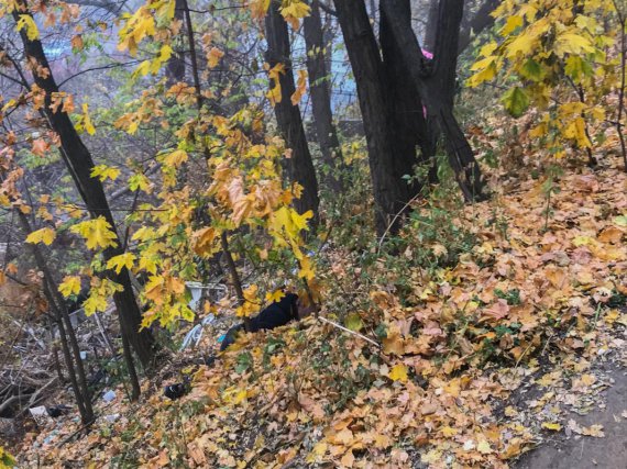 У Києві   на території   національного університету культури і мистецтв перехожий знайшов труп   хлопця в зашморгу