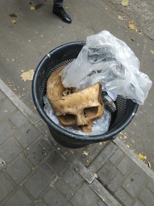 Человеческий череп нашли прохожие в урне возле продуктового магазина в Николаеве