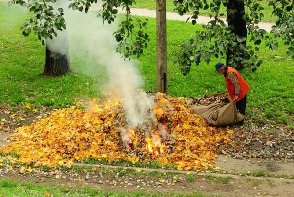 Небезпека спалювання листя: як переконати відмовитись від цього