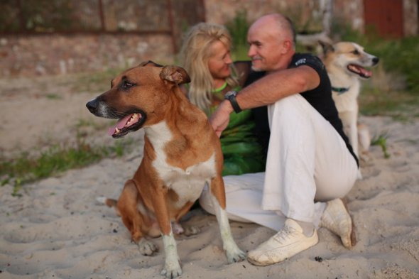 Лана Вєтрова з чоловіком взяли третю собаку з притулку, яка знаходилась у відділі безпорідних та безіменних. 