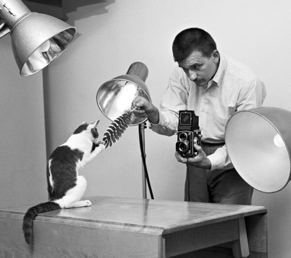 Уолтер Чандоха знімав кішок 70 років