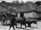 На початку ХХ століття жінки у Гватемалі займалися домашнім господарством. Чоловіки працювали на плантаціях кави і бананів