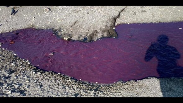 Фиолетовая река в Феодосии
