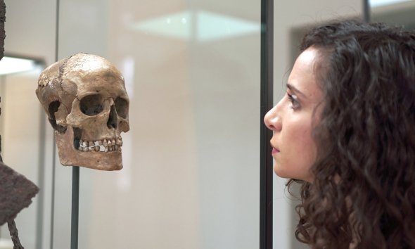 Відтворили обличчя жінки-воїна, яка жила в Скандинавії понад 1 тис. років тому
