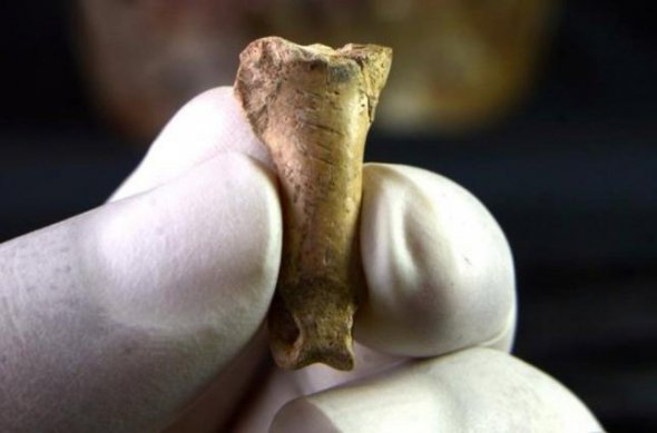 Мастер-неандерталец изготавливал украшения из когтей орла