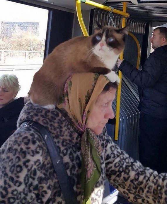 Литовец Рокас Стасявичус создал страницу в одной из соцсетей, на которой публикует забавные фотографии общественного транспорта