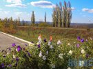 Корреспондент "Донецких новостей" прогулялся по ландшафтному парку "Клебан-Бык" на территории Константиновского района Донецкой области.