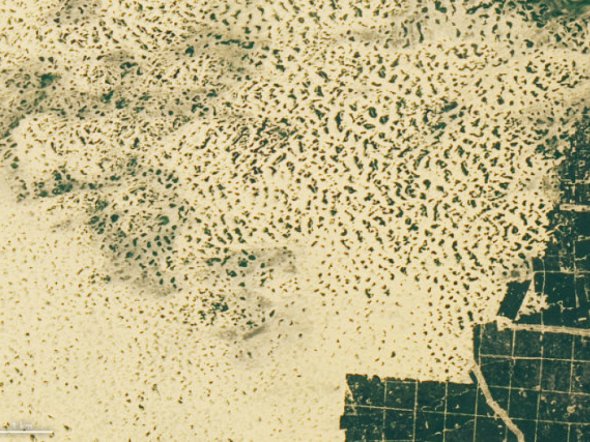 Cупутник Landsat 8 з космічної агенції NASA відзняв унікальну українську пустелю 