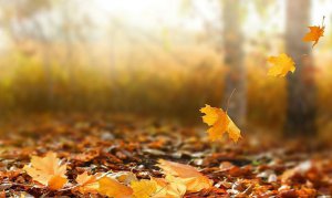 На наступному тижні Україну очікує потепління. Фото: Vchasnoua