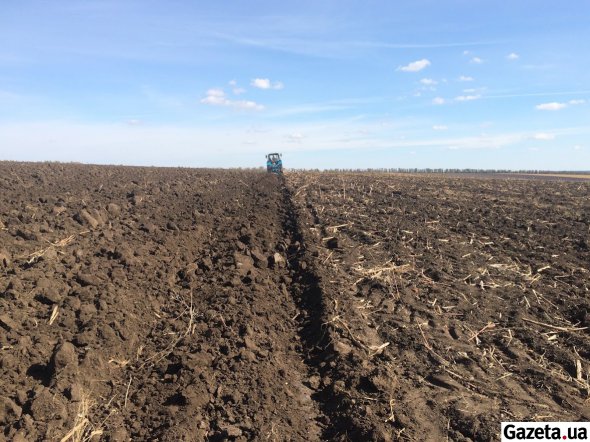 Узаконивание торговли землей сельскохозяйственного назначения превратит Украину в сырьевую колонию