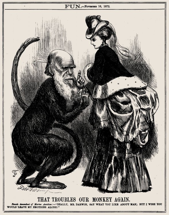 Карикатуру ”Чарльз Дарвін. Вираз емоцій у людини та тварини” опублікував листопадовий номер лондонського журналу Fun 1872 року. Після виходу книжки про походження видів науковця найчастіше зображали у вигляді мавпи чи поруч із нею. Чарльза Дарвіна засмучували такі малюнки. Рідні намагалися перевіряти пресу й листи, аби він не натрапляв на них