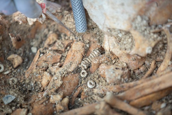 Во Франции обнаружили древний храм с массовым захоронением