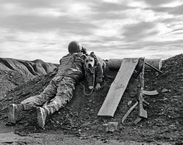 Військовий 72-ї окремої механізованої бригади 20-річний Петро разом із собакою Амуром веде спостереження зі своєї позиції у селищі Золотому на Луганщині. 3 листопада 2019 рік