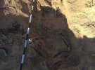 На Житомирщині виявили поховання військового