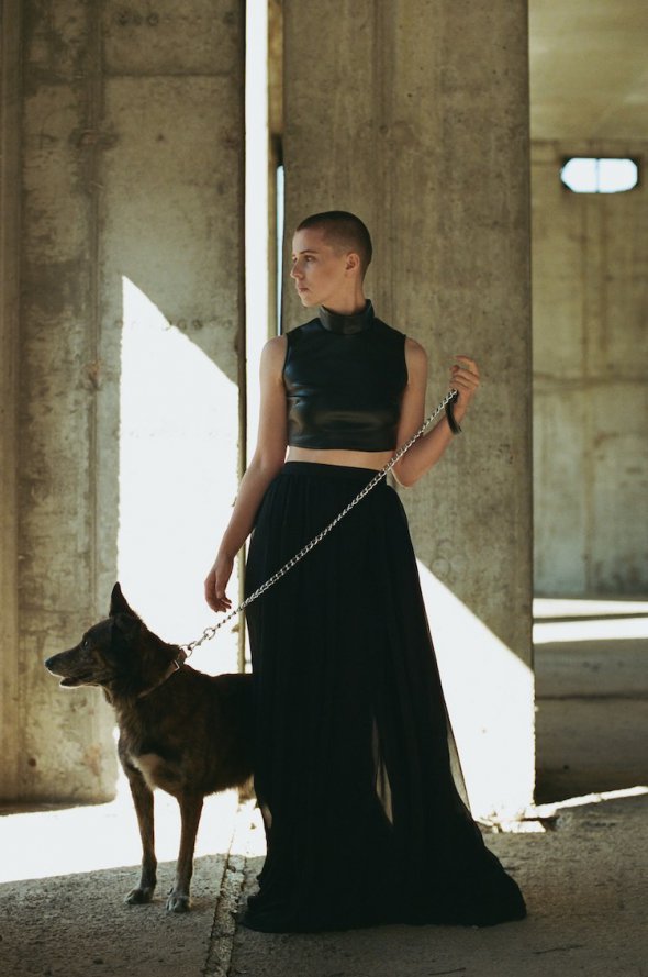 Знаменитості закликають брати додому вуличних собак