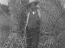Євген Чикаленко вирощував найновіші сорти пшениці