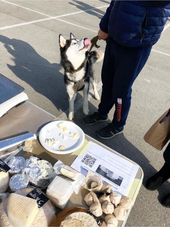 Вже мають постійних клієнтів, які купують сири через інтернет на на базарх